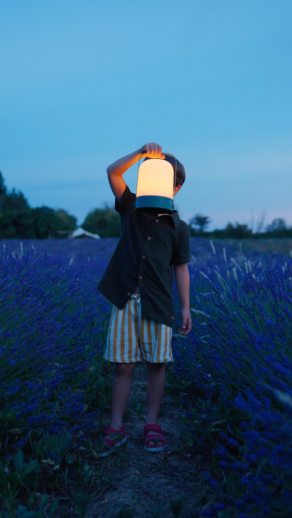 Lavender Night: Gourmet Picnic