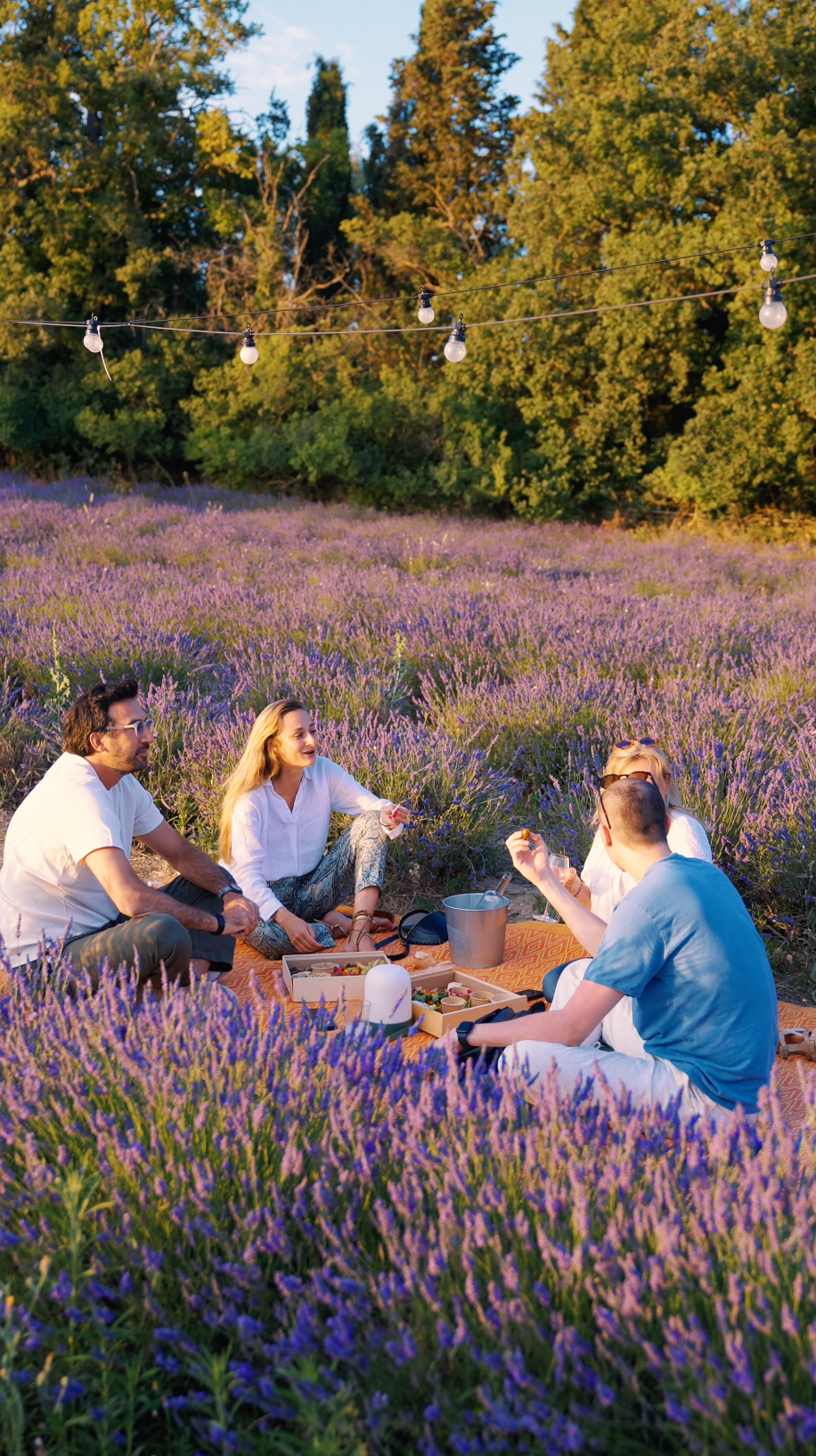 Lavender Night: Gourmet Picnic