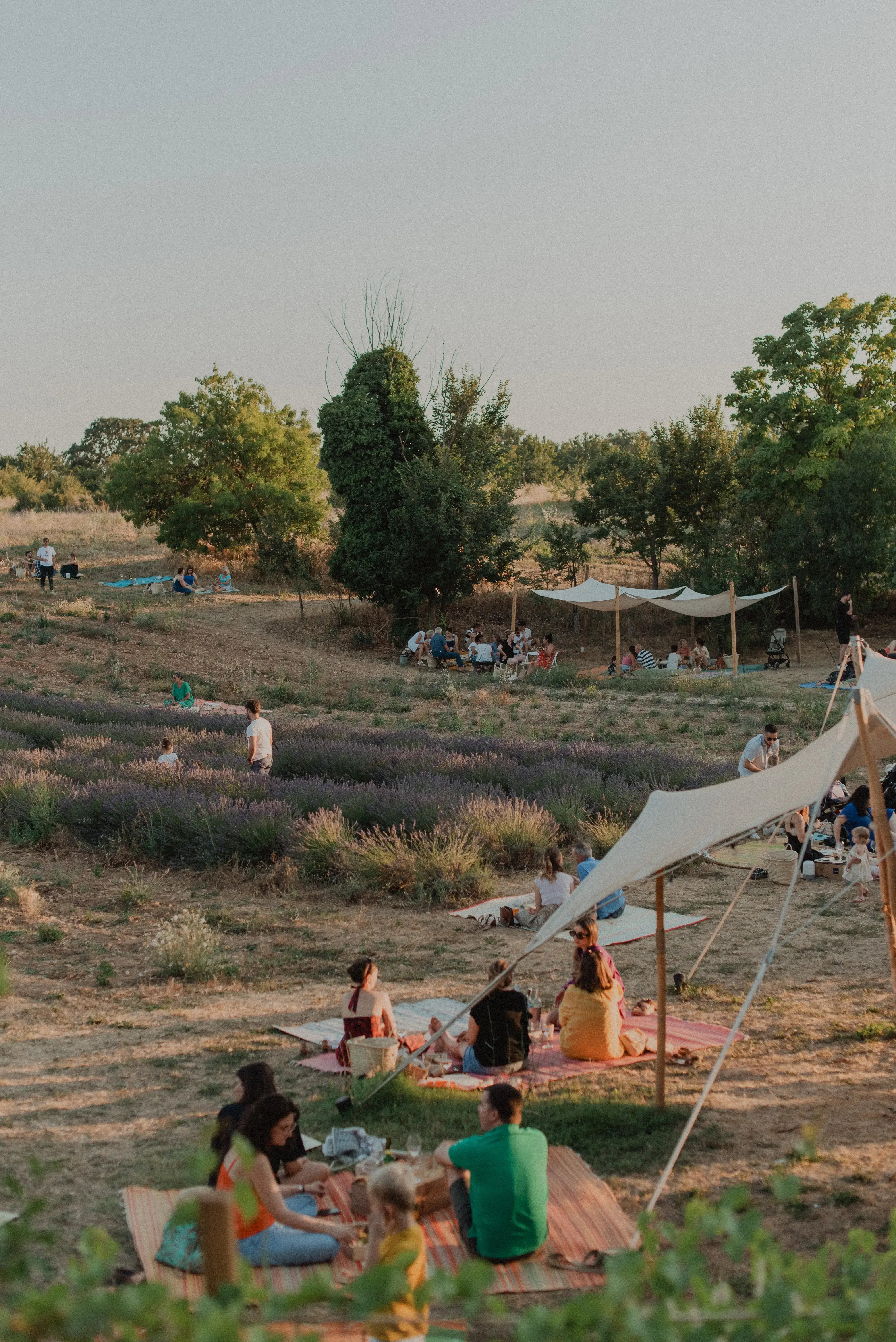 Soirée Apéro d'Ugo près de notre tente nomade. Les clients mange leurs tapas sur les rabanes. 