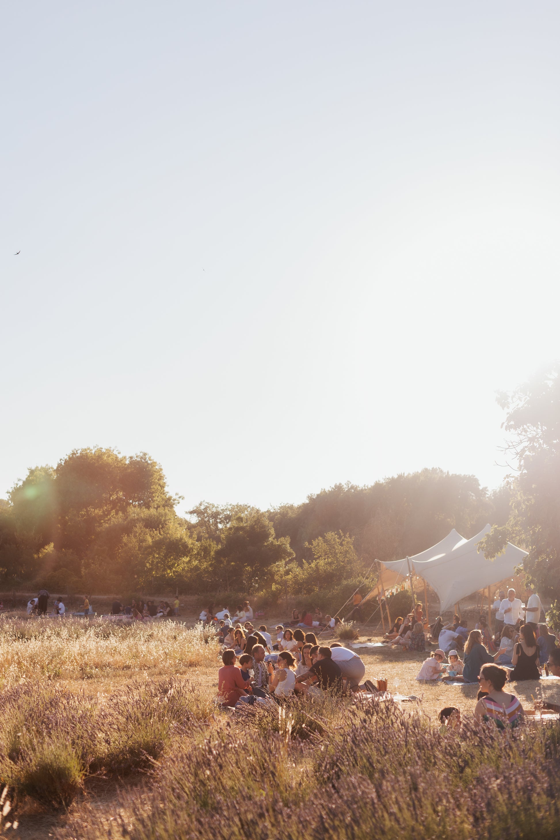 Apéro d'Ugo au coucher de soleil en Provence - Tapas, spritz et vin dans un cadre atypique. 