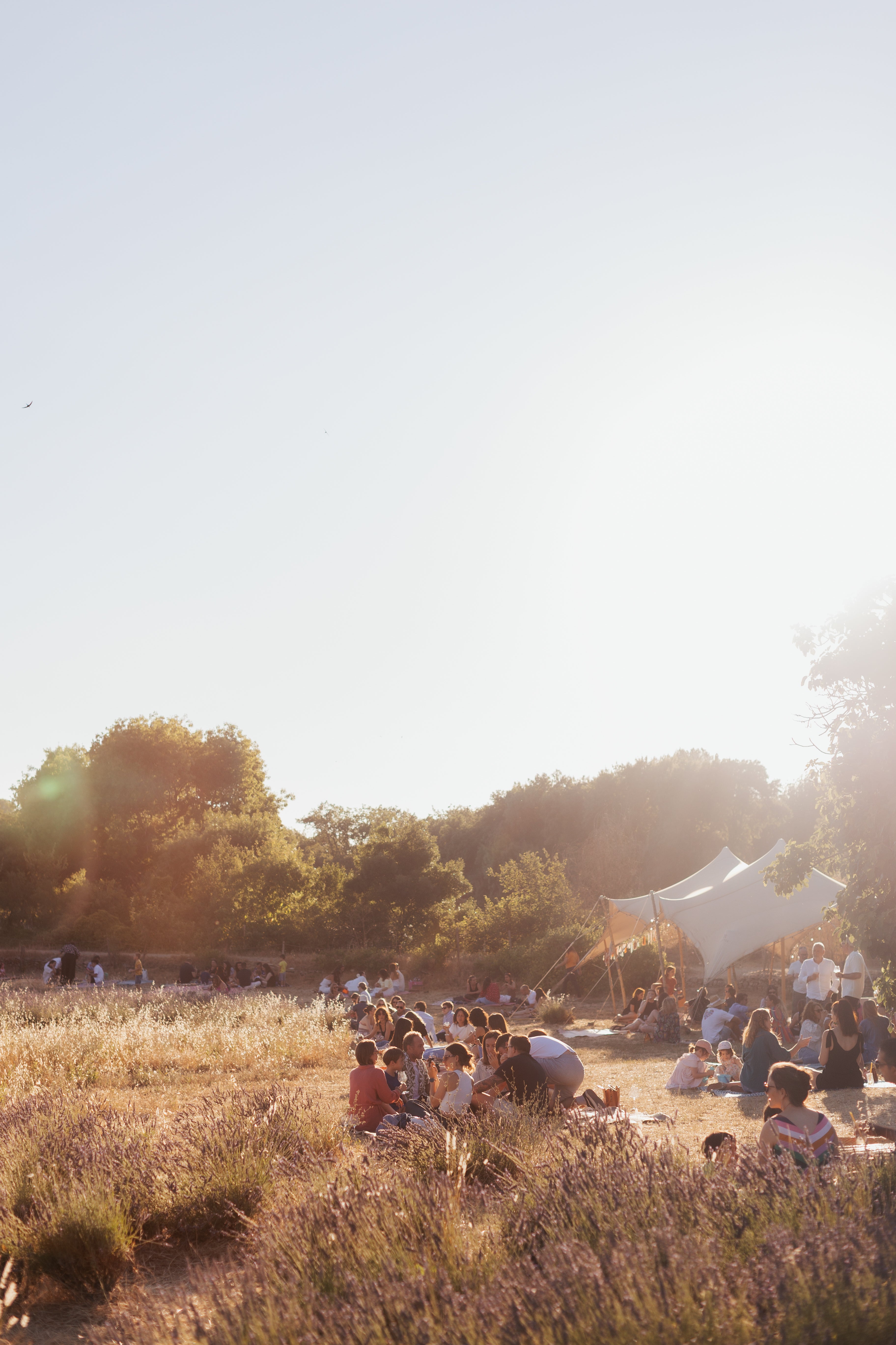 Apéro d'Ugo au coucher de soleil en Provence - Tapas, spritz et vin dans un cadre atypique. 