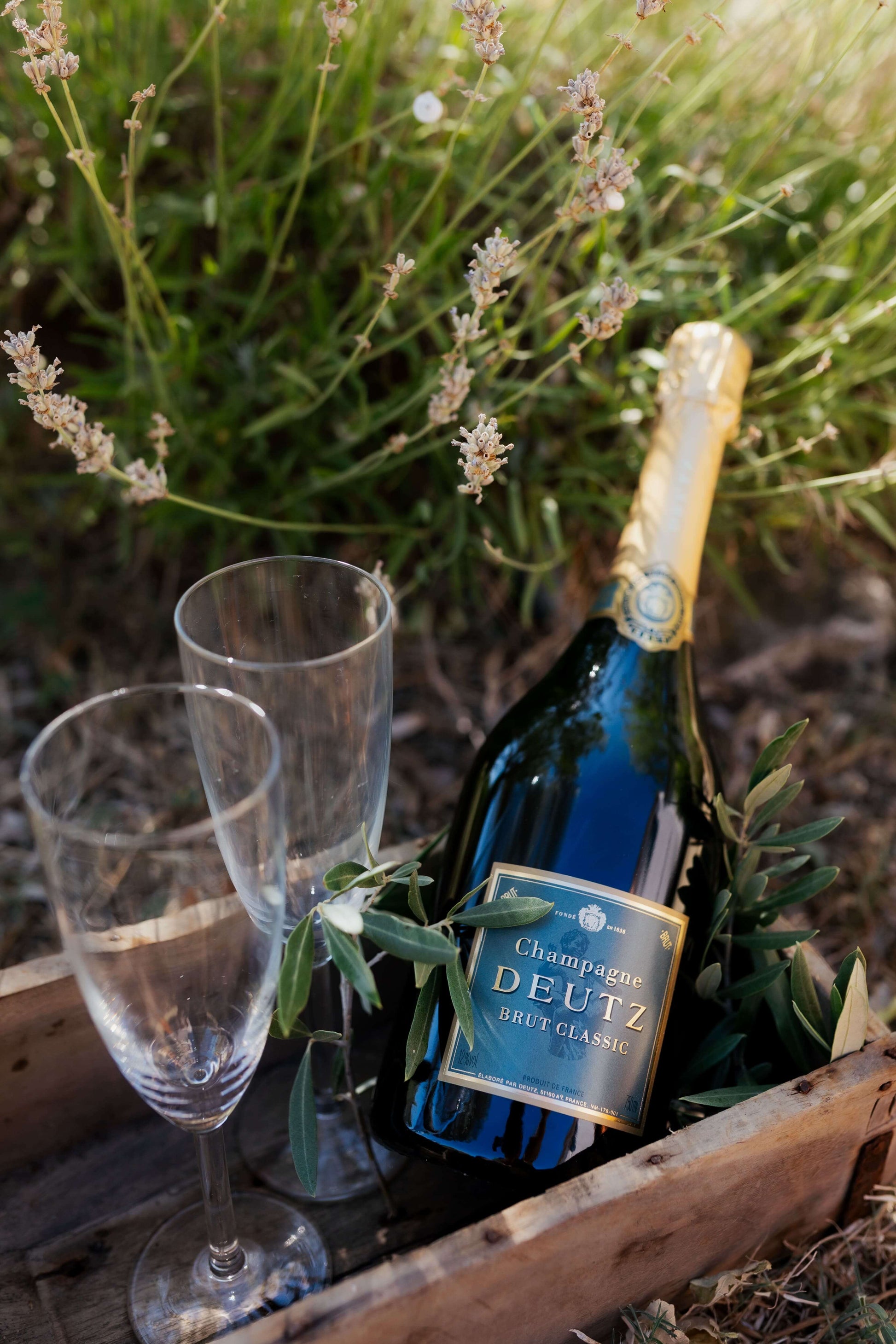 Bouteille de champagne inclus dans la formule de saison de Terre Ugo. 