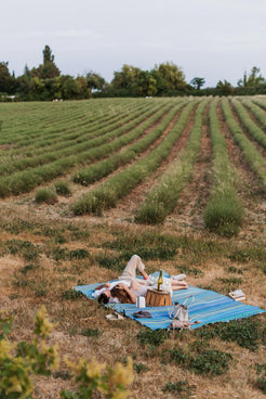Couple qui se repose sur une rabane un jour d'été. Ils ont acheté la formule entrée et bouteille de champagne. 