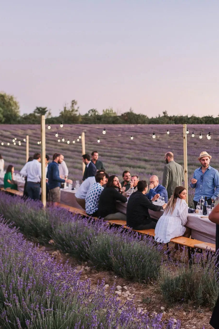 Les Banquets d'Été – Dîners au Cœur de la Lavande