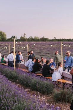 Photo de notre dîner dans les lavandes en collaboration avec Mensa en 2022.