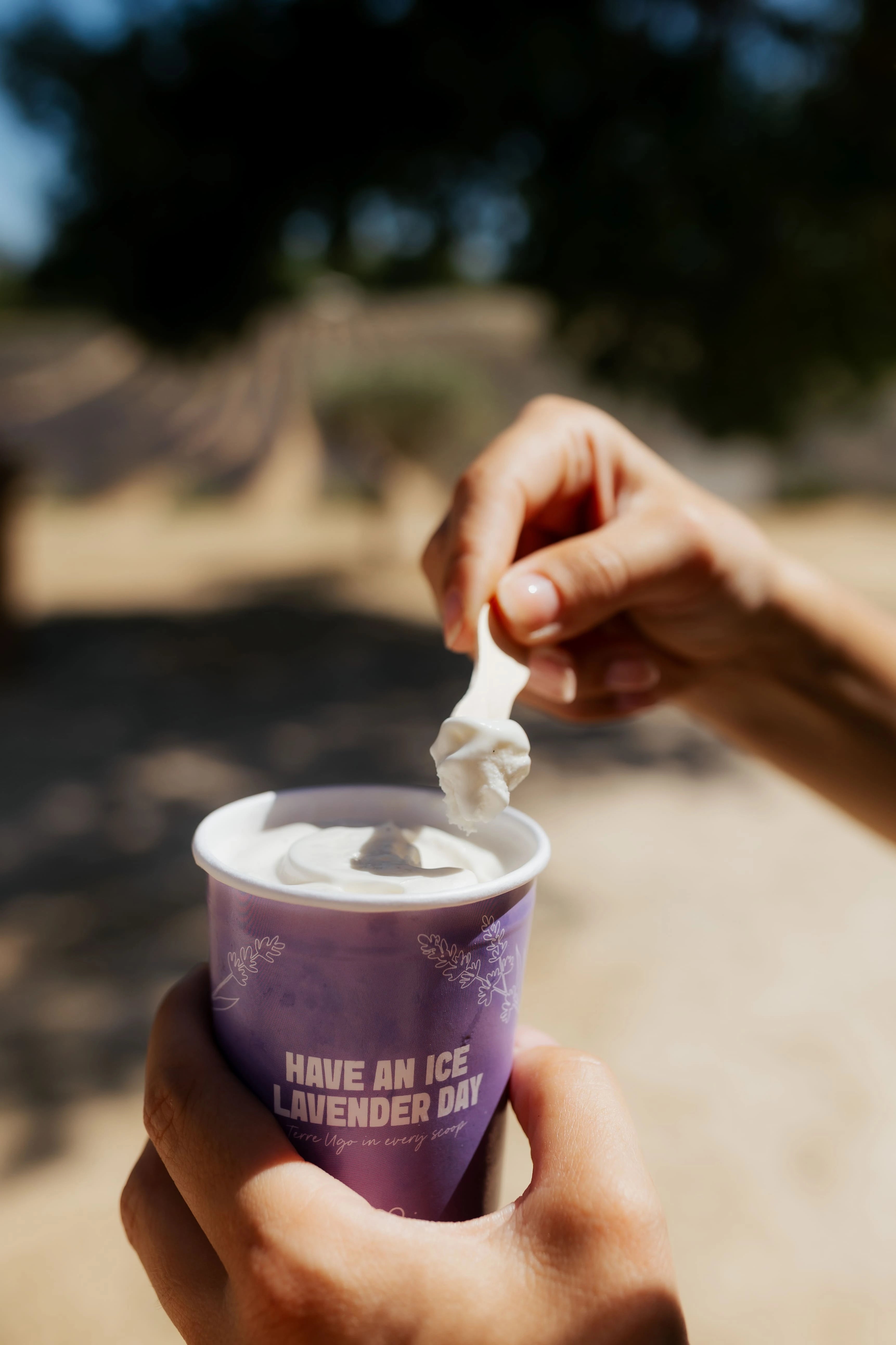 Dégustation de notre glace de lavande Terre Ugo. 