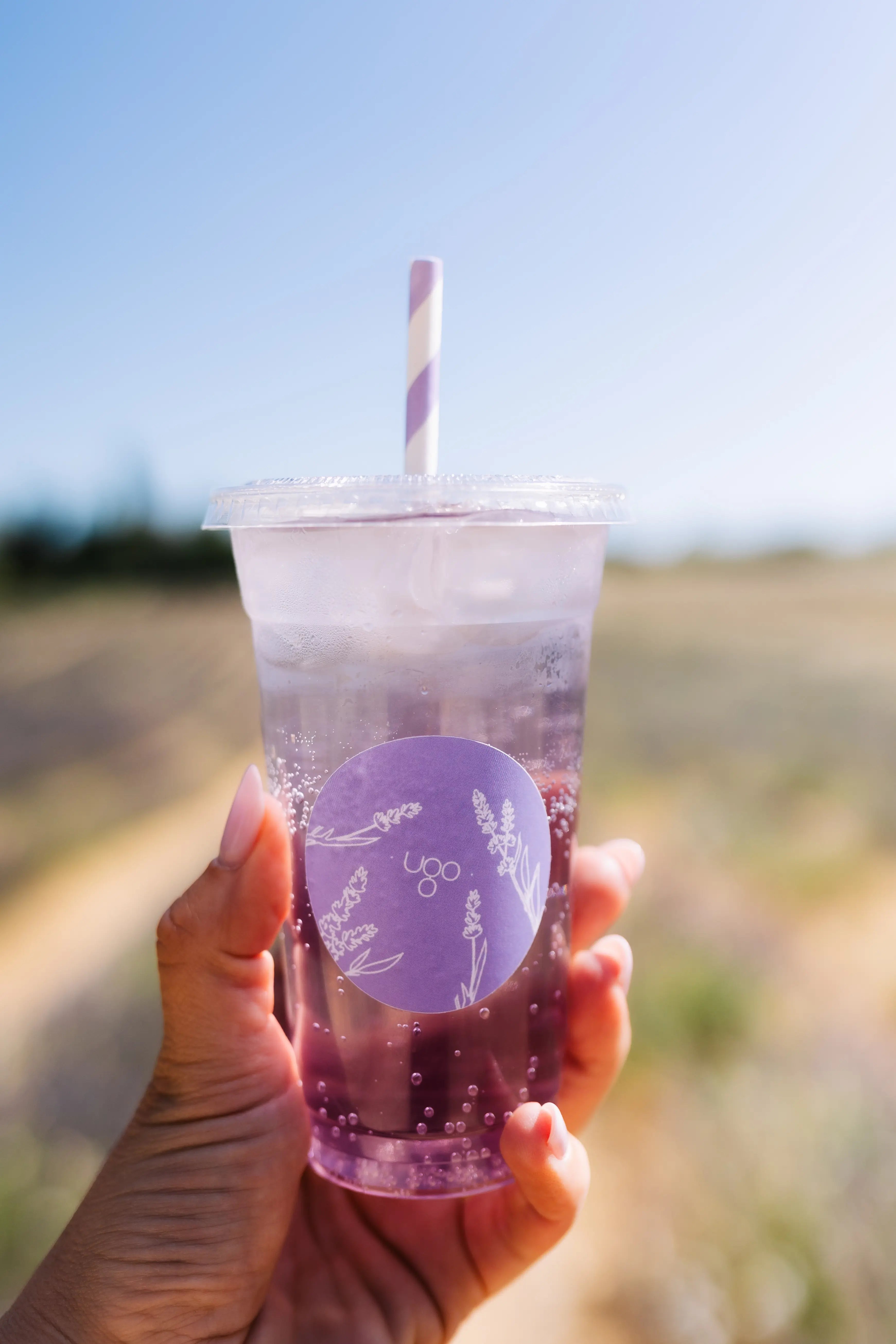 Limonade de lavande du domaine Terre Ugo, inclus dans la formule snacking. Vue de face. 