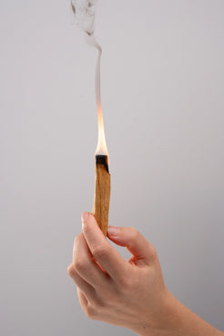 Palo santo Terre Ugo en brûlage pour une diffusion optimale de sa fragrance. 