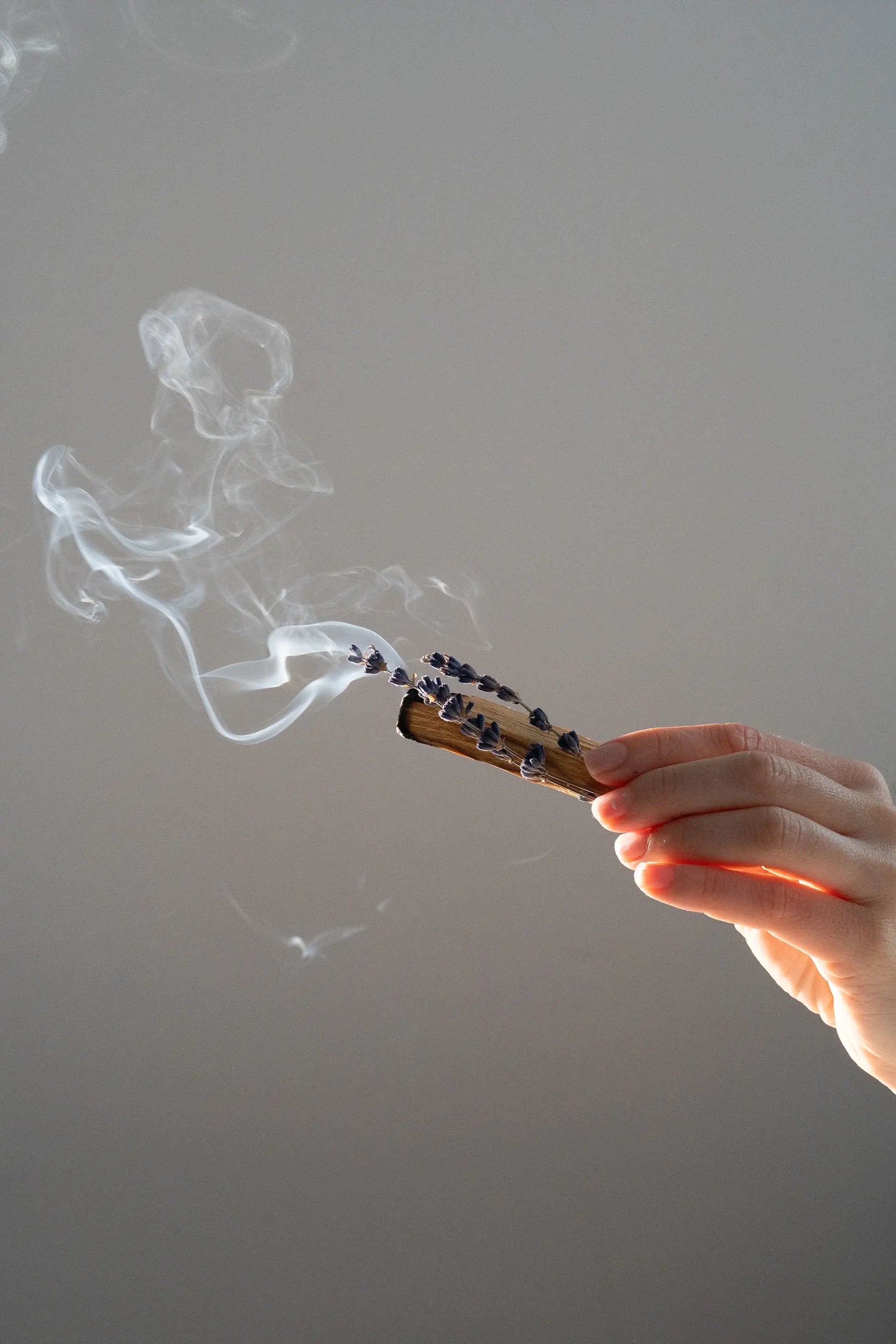 lavender tobacco free cigarettes Sleepy Cigs Tobacco-Free Herbal Cigarettes #3 Greeting Card An ancient ritual for serenity and inner harmony. Sleepy Smoke Tobacco-Free Lavender Smoking
