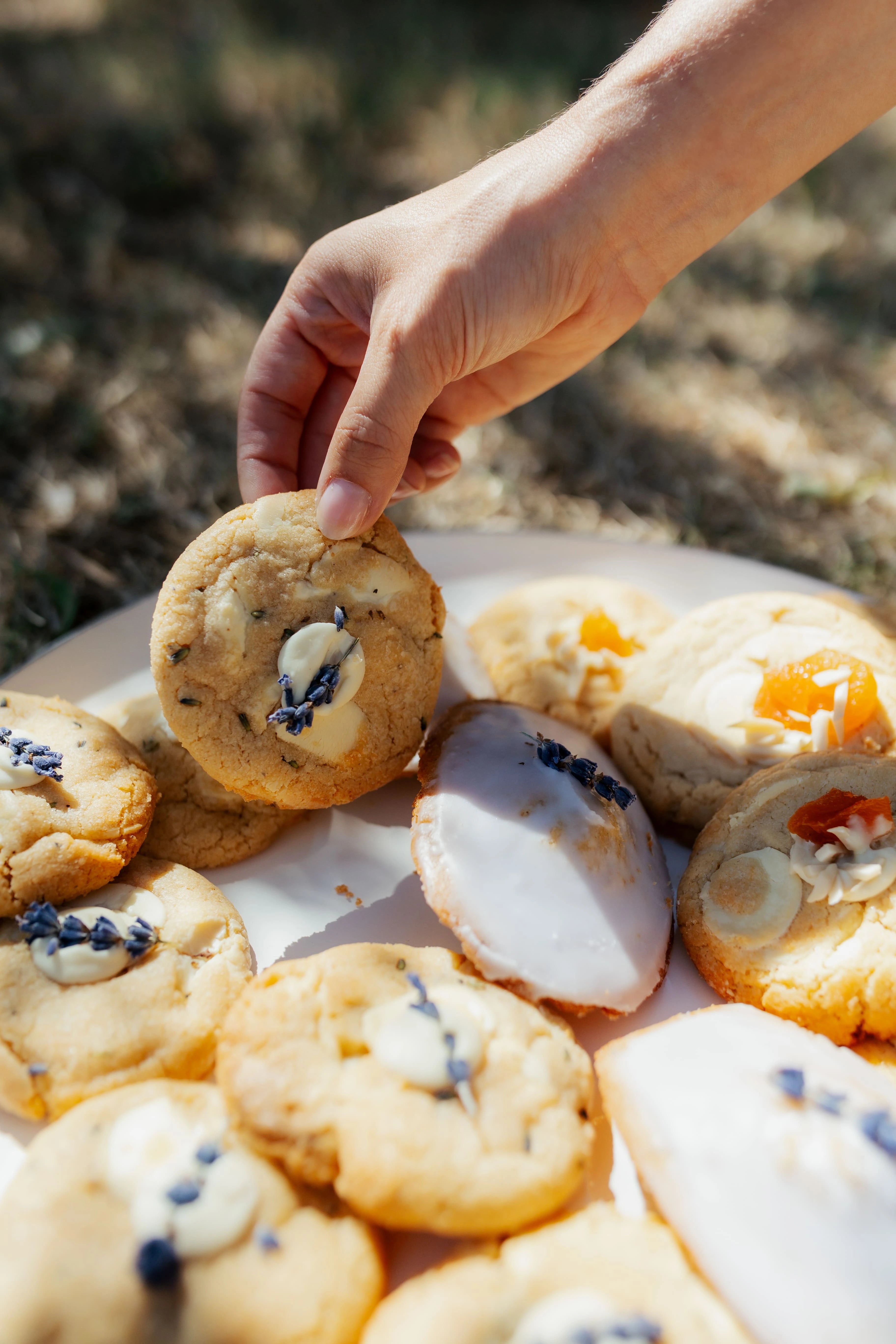 Cookies et madeleines à la lavande, proposées dans notre coin restauration dans notre domaine. 
