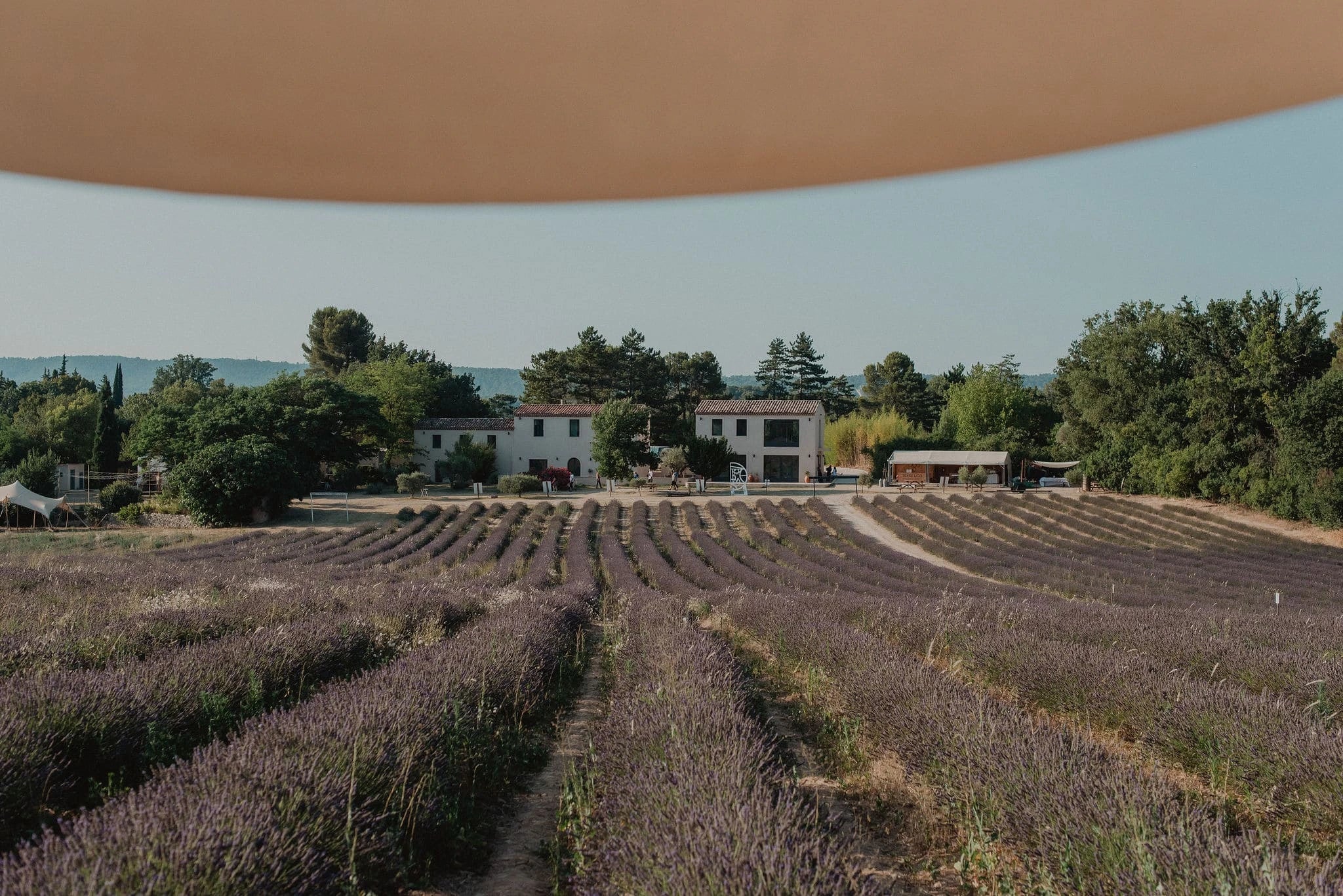 Vu en format paysage de tout le domaine Terre Ugo en été.