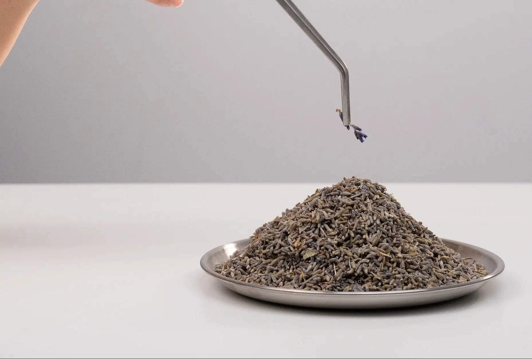 Sélection soignée du lavandin biologique de Terre Ugo intégré à chacune de nos créations. 