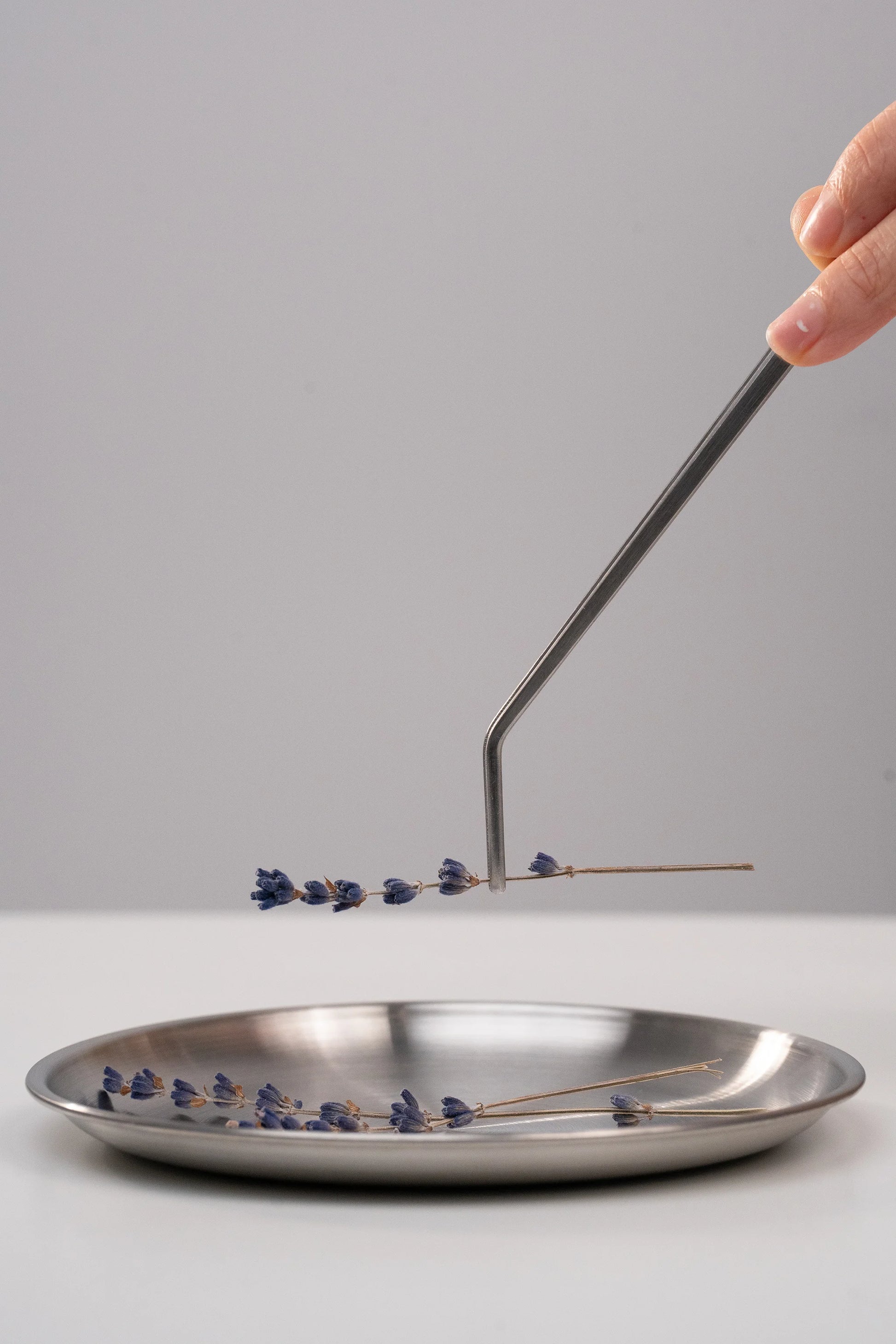 Sélection soignée de notre lavandin biologique, à intégrer dans chacun de nos produits. 