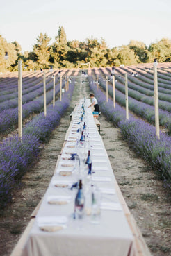 Mise en place de notre table pour les banquets d'été, au milieu du champ de Lavande à Terre Ugo. 