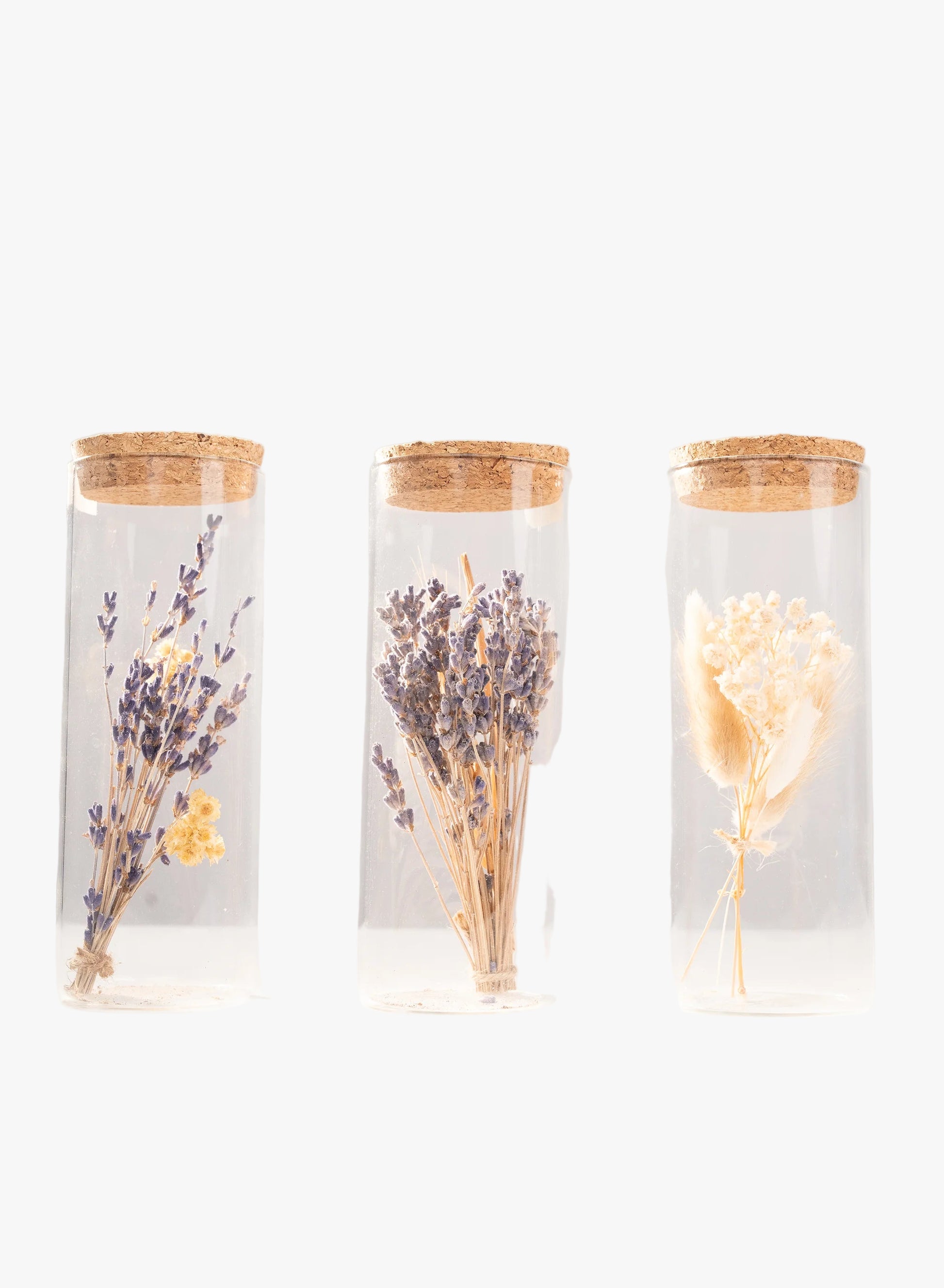 Bouquets de fleurs séchées Terre Ugo présentés dans des bouteilles en verre, vue d’ensemble.