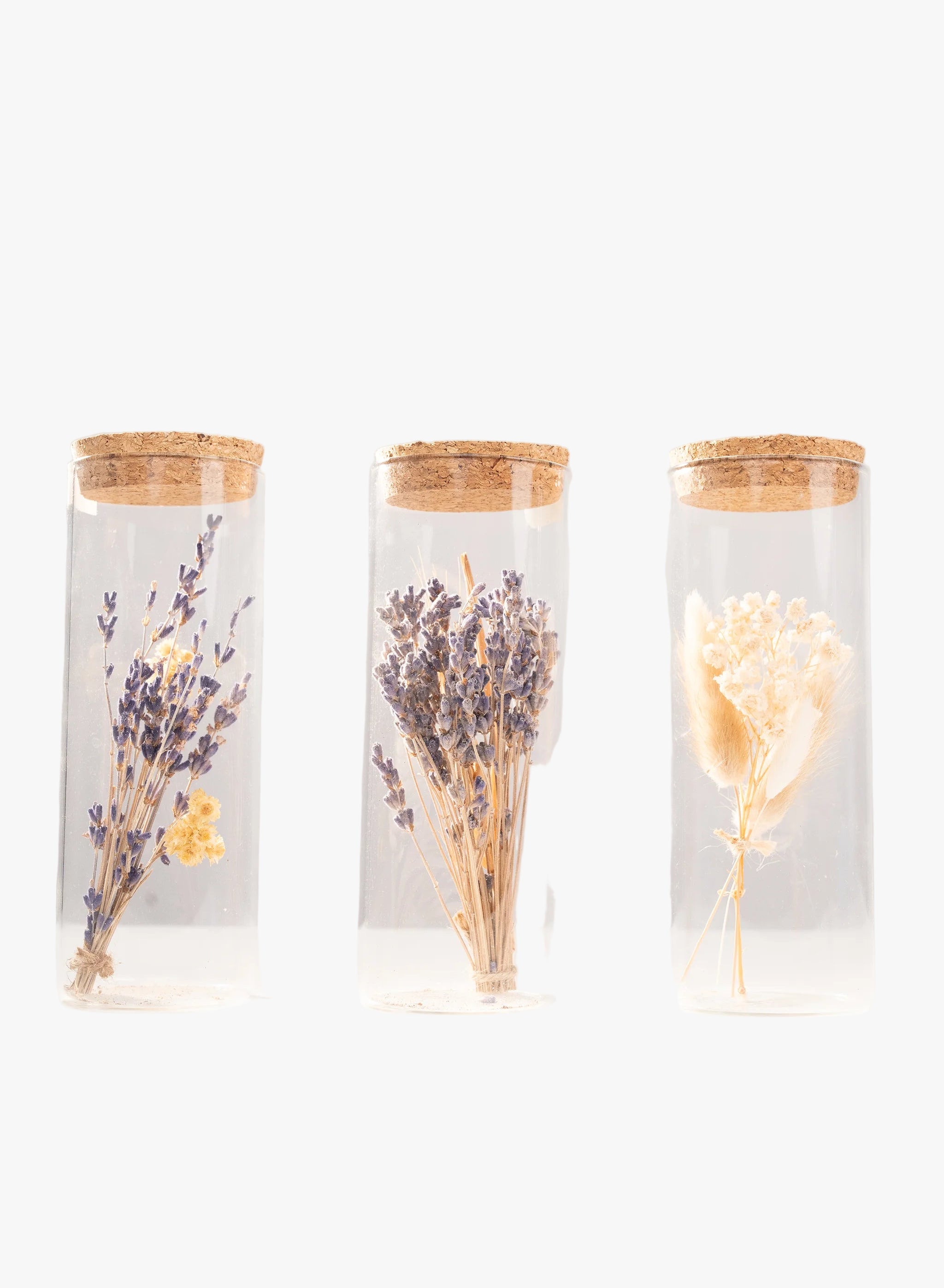 Bouquets de fleurs séchées Terre Ugo présentés dans des bouteilles en verre, vue d’ensemble.