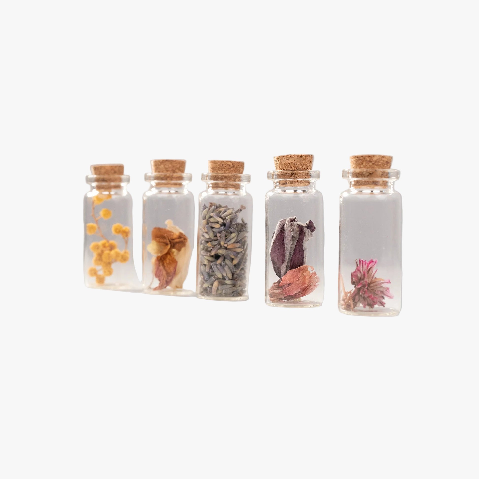 Fioles porte-bonheur Terre Ugo grand modèle remplies de fleurs séchées de Provence, présentées en ligne.