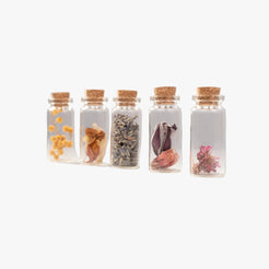 Fioles porte-bonheur Terre Ugo grand modèle remplies de fleurs séchées de Provence, présentées en ligne.