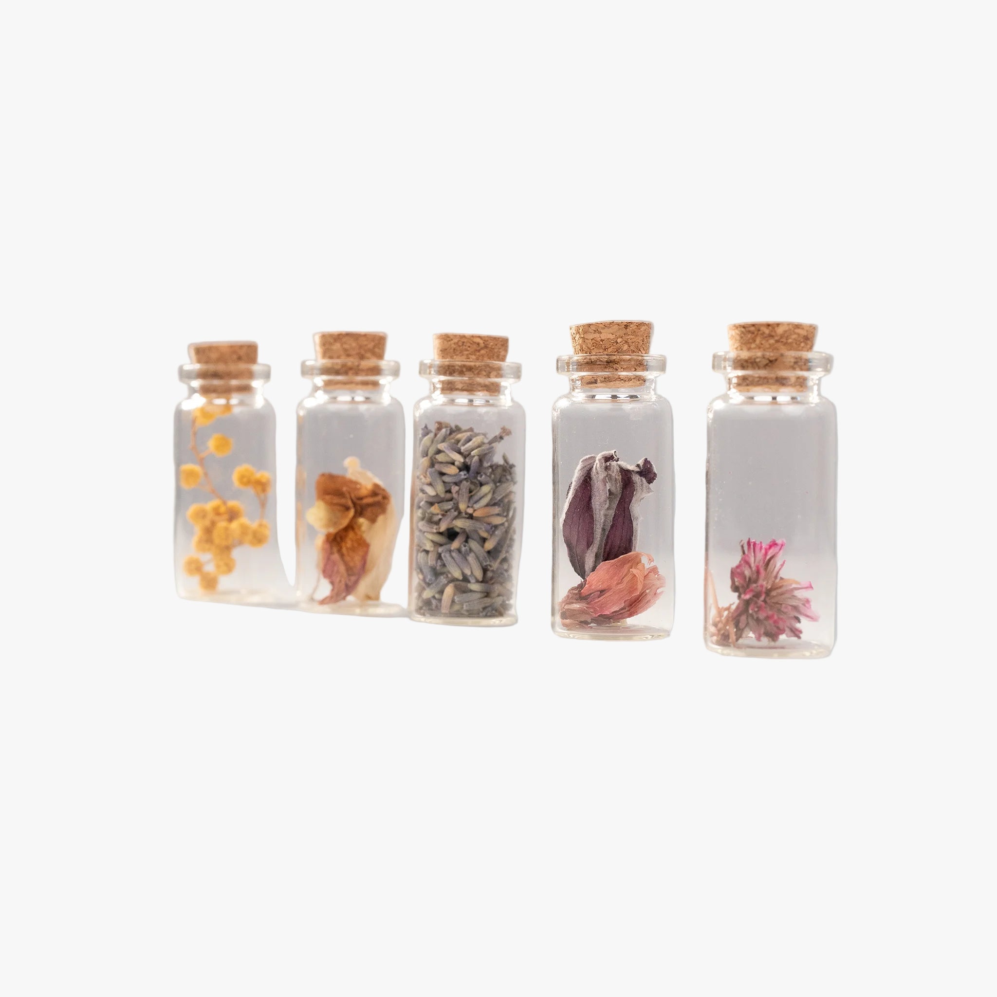 Fioles porte-bonheur Terre Ugo grand modèle remplies de fleurs séchées de Provence, présentées en ligne.