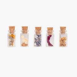 Fioles porte-bonheur Terre Ugo petit modèle remplies de fleurs séchées variées, présentées en ligne.