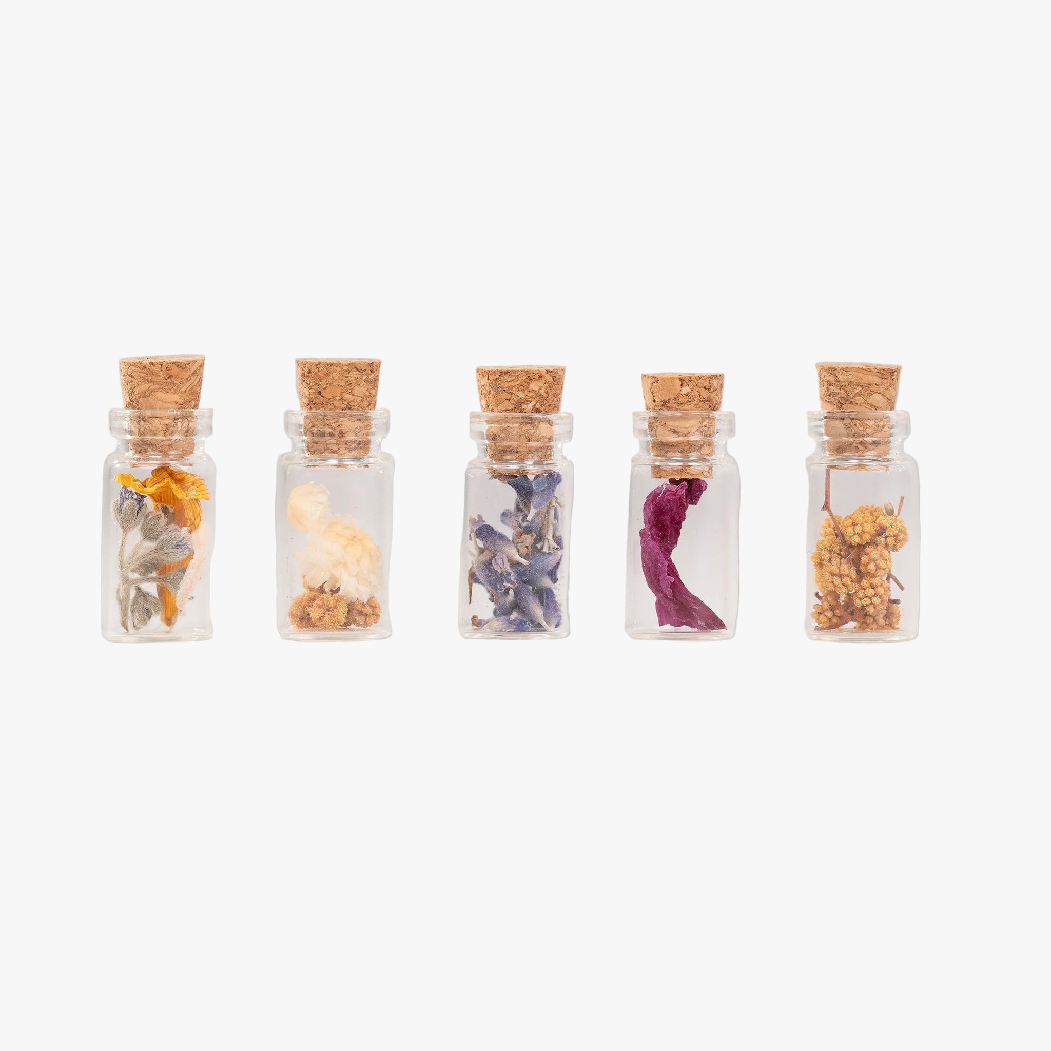 Fioles porte-bonheur Terre Ugo petit modèle remplies de fleurs séchées variées, présentées en ligne.