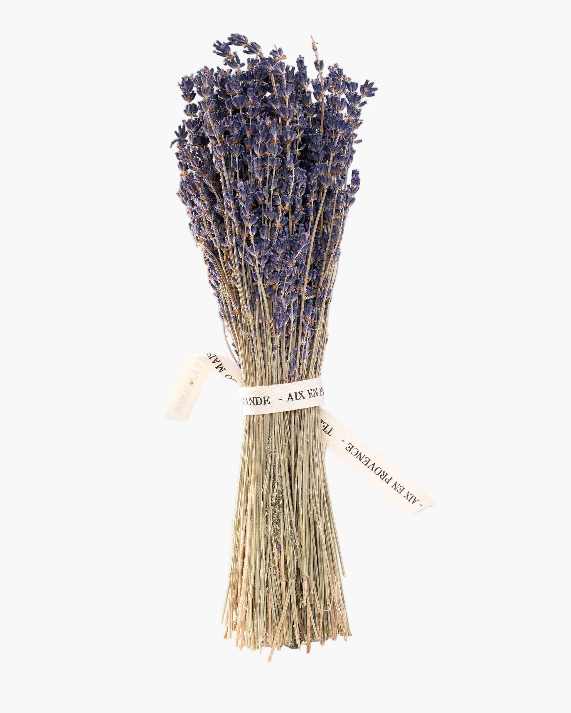 Bouquet de lavande séchée Terre Ugo.