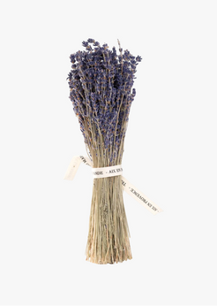 Bouquet de lavande séchée Terre Ugo.