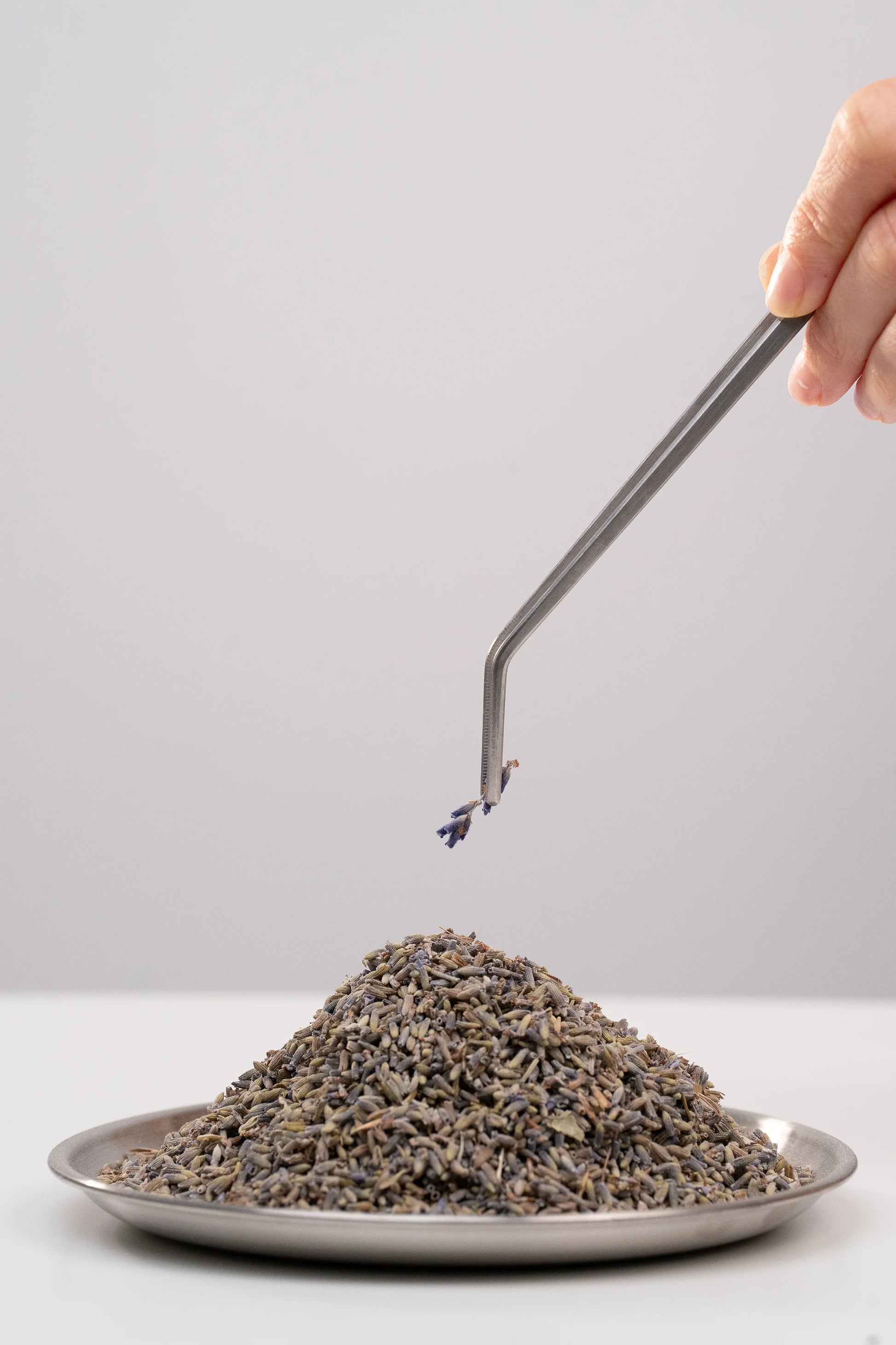 Sélection de notre lavandin biologique de Provence. 