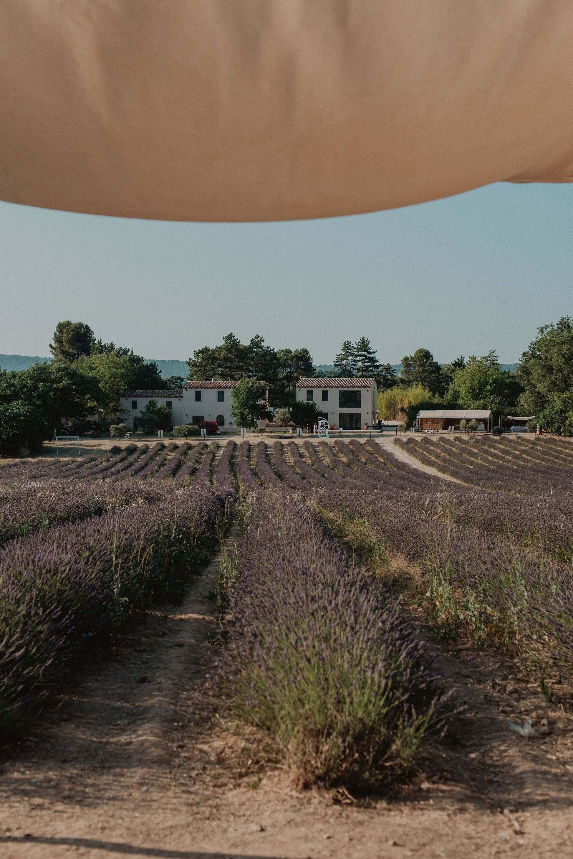 Vue panoramique du domaine Terre Ugo l'été 2024. 